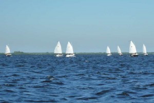 Sun Cat Racers Sailing Upwind