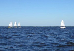 Sun Cats at Downwind Mark Sun Cats at Downwind Mark