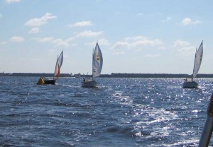 Sun Cats Turning Upwind