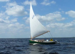 Sea Bird Under Full Sail