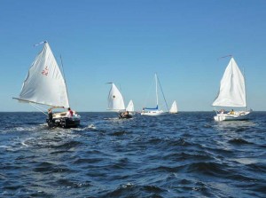 Sun Cats prepare for the start Suncats Prestart