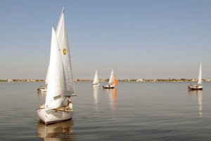 Catboat Fleet Assembled