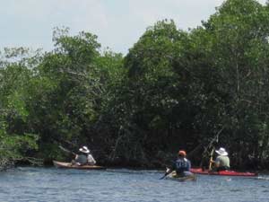 Kayaks turn down creek branch