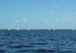 Sun Cat Fleet