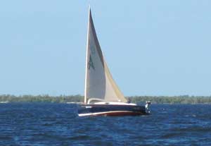 Alerion Catboat