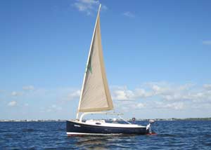 Alerion Catboat