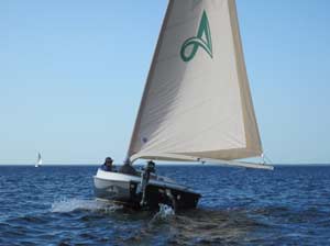 Alerion Catboat