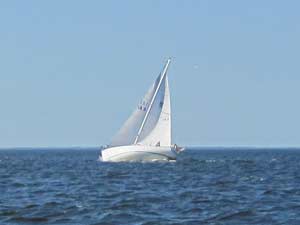 Morgan 30 sailboat heeling